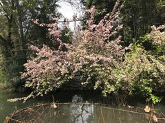 -成都杜甫草堂博物馆