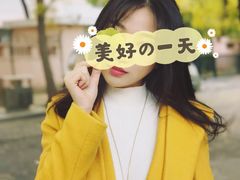 -三里屯东五街银杏大道
