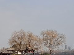 -济南大明湖景区