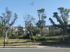 -金海湾海鲜排档(朱家尖店)