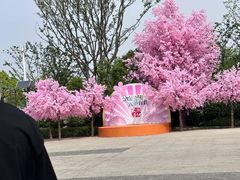 -苏州太湖国家湿地公园