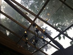 -懒鱼时光馆(沙坪坝店)