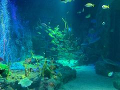 -沈阳海洋探索中心