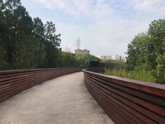 -昆山城市生态森林公园