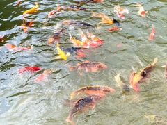 -陶祖圣境风景区