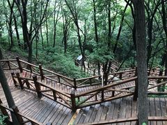 -大岭沟猕猴桃谷风景区