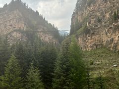 -芦芽山旅游度假区