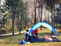 -苏州河梦清园环保主题公园