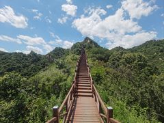 -大岭沟猕猴桃谷风景区