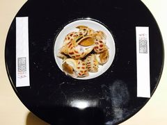 -余欢领鲜火锅(新街口店)