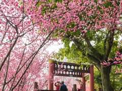 -望江楼公园