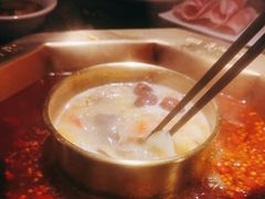 -蜀九香火锅(彩虹店)