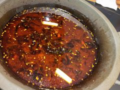 -石锅苗苗鱼(武汉首店)