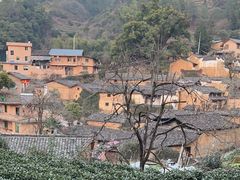 -杨家堂村