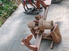 -呀路古热带植物园