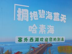 -哈素海