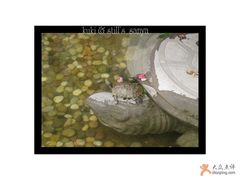 -三亚亚龙湾雅高美爵酒店