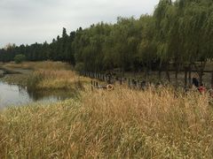 -太湖湖滨国家湿地公园-停车场