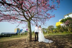 -太古映画婚纱摄影(天河店)