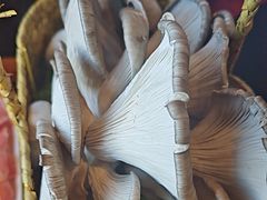 -老员外骨汤火锅(海州古城店)