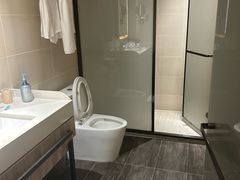 -汉庭(合肥火车南站北广场店)