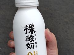 -一只酸奶牛(奎星楼店)