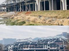 -长兴太湖图影湿地文化园