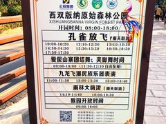 -西双版纳原始森林公园