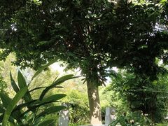 -广州神农草堂中医药博物馆