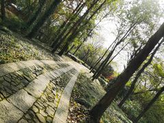 -西溪国家湿地公园