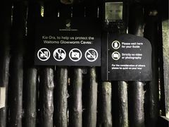 -怀托摩萤火虫洞