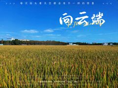 -芦潮港集贸市场