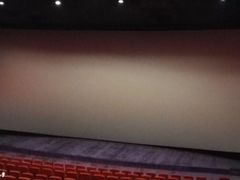 -保利国际影城杭州中南店