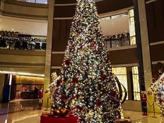 -深圳星河丽思卡尔顿酒店