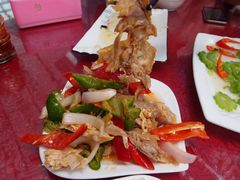 椒麻鸡-马白开来特色羊排揪片子  (总店)