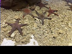 -石家庄海洋公园