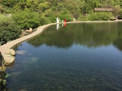 -贵阳市花溪国家城市湿地公园