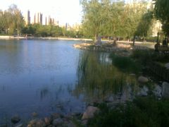 景点-立水桥公园