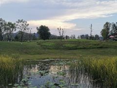 -桂溪生态公园