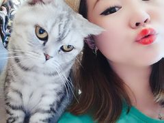-MOYOYO猫咪咖啡店