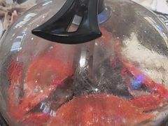-半岛听涛蒸汽海鲜自助(K11店)