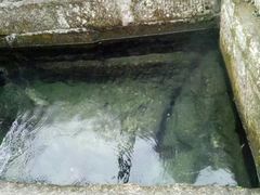 -永州阳明山国家森林公园