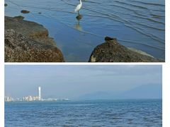 -深圳湾公园(南山区)
