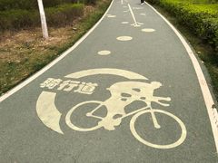 -洨河生态公园