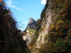 -青峰峡国家森林公园