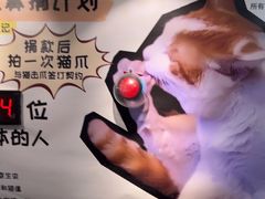 -平行世界·猫咖(首经贸店)
