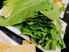 -红菇坊鲜汤火锅(北行店)