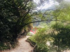 -太鲁阁公园