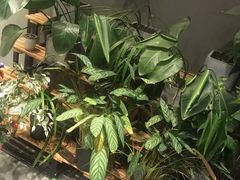 -暹罗酒肆泰餐厅酒吧