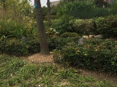 -活水公园